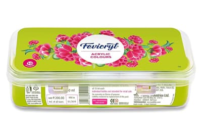 Fevicryl Paint
